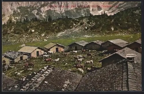 AK Tschagguns, Spora Alpe an der Lindauer Hütte