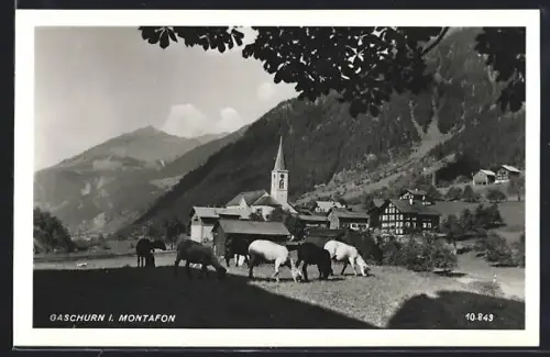 AK Gaschurn i. Montafon, Ortsansicht mit grasenden Schafen