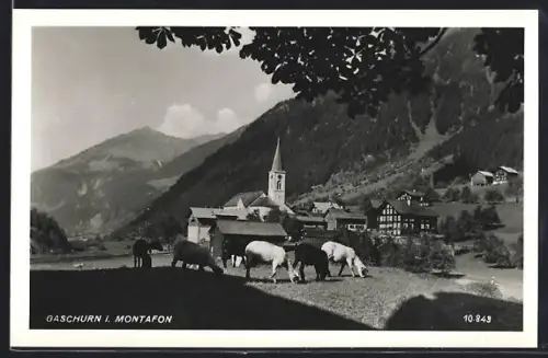 AK Gaschurn i. Montafon, Ortsansicht mit grasenden Schafen
