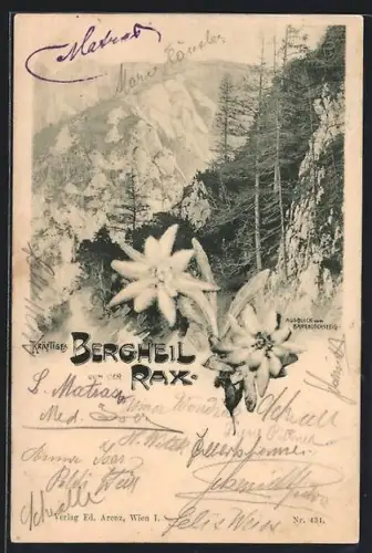 AK Rax, Ausblick vom Bärenlochsteig, Alpenblumen