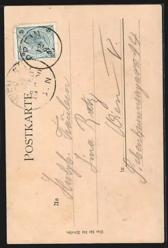 AK Rax, Ausblick vom Bärenlochsteig, Alpenblumen