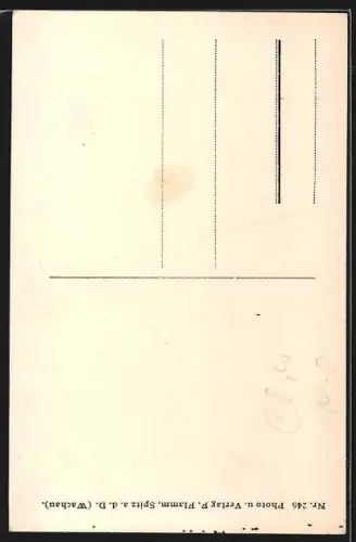 AK Weissenkirchen i. d. Wachau, Flammhof mit Anwohnerin