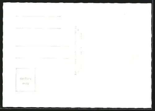 AK Neustift /Stubaital, Frühstückspension Haus am Hang mit Gebirgspanorama