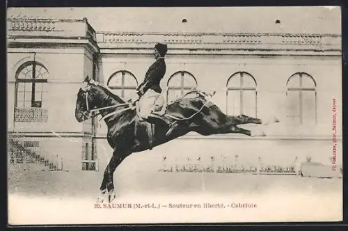 AK Saumur /M-et-L, Sauteur en liberté, Cabriole
