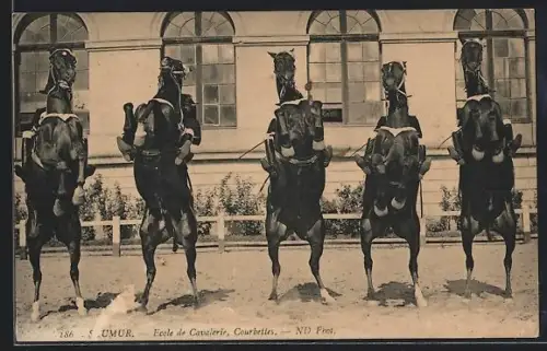 AK Saumur, École de Cavalerie, Courbettes des chevaux devant le bâtiment