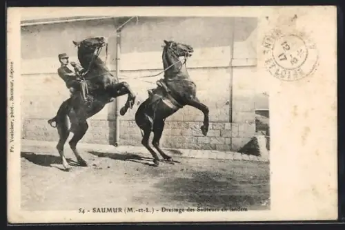 AK Saumur /M.-et-L., Dressage des sauteurs en tandem