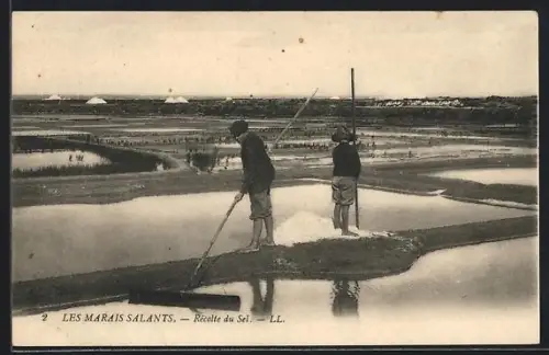 AK Les Marais Salants, Récolte du Sol