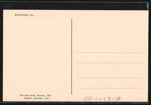 AK Budweis, Neuer Personenbahnhof mit Strassenbahn