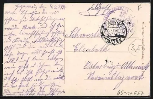 AK Hagenau i. Els., Bahnhof und Parkanlage, Panorama