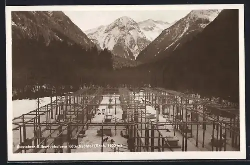 AK Bad Gastein, Silberfuchsfarm Kötschachtal