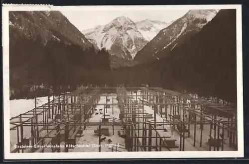 AK Bad Gastein, Silberfuchsfarm Kötschachtal