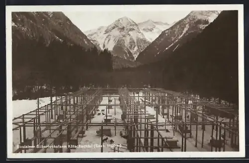 AK Bad Gastein, Silberfuchsfarm Kötschachtal