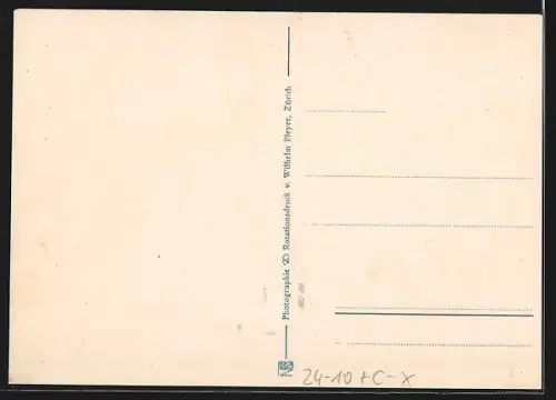 AK Zürich, Zürichseegefrörne 1929, Schornsteinfeger