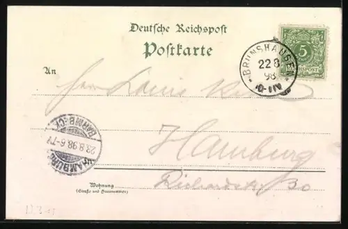 Lithographie Brunshausen, Totalansicht, Schnelldampfer Fürst Bismarck, Stockfleht's Gasthaus