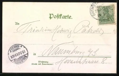 Lithographie Gernsheim, Schöffer-Denkmal, Stadthaus, Kath. Kirche, Dampfer, Segelboot