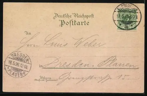 Lithographie Elsterberg / Vogtl., Elsterthalbrücke, Partie aus dem Steinigt, Panorama