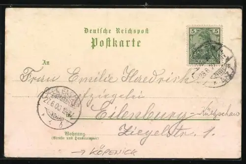 Lithographie Berlin-Köpenick, Restaurant am Teufelsee, Bes. Carl Streichhan, Aussichtsturm Müggelberge