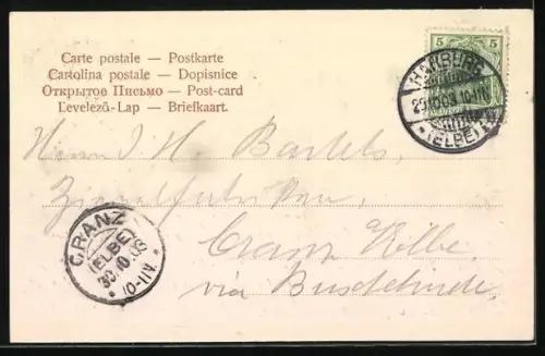 AK Hamburg /Elbe, Restaurant Austernkeller, Inh. Emil Otto, Interieur und Exterieur, geschmückt mit Weintrauben