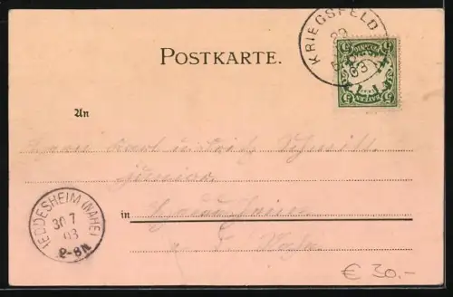 Lithographie Kriegsfeld, Kgl. Forstamt und Kriegerdenkmal, Gasthaus Forsthaus Pfalz, Kirche und Pfarrhaus, Ortsansicht