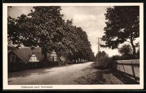 AK Vormwald, Strassenpartie mit anliegenden Häusern