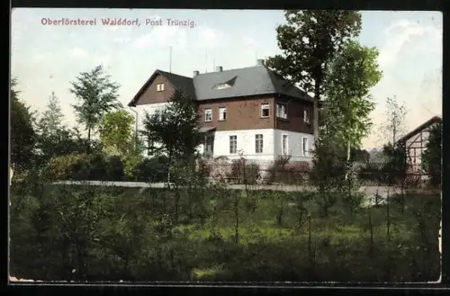 AK Trünzig, Oberförsterei Walddorf