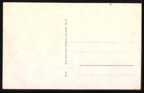 AK Eiserfeld /Sieg, Ortsansicht aus der Vogelschau