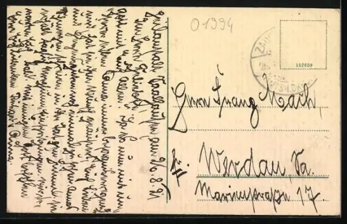 AK Saalhausen / Lennestadt, Gesamtansicht der Bezirks-Heil- und Pfleganstalt