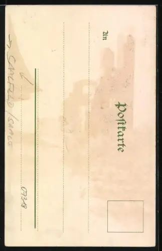 Lithographie Saalfeld /Saale, Hoher Schwarm