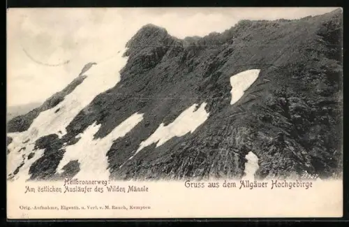 AK Oberstdorf /Allgäuer Hochgebirge, Heibronnerweg am östlichen Ausläufer des Wilden Männle