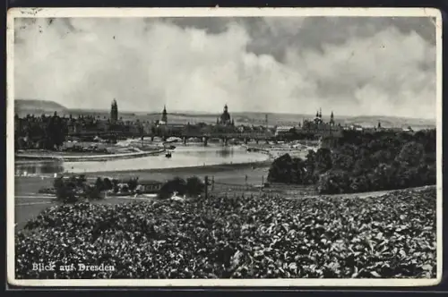 AK Dresden, Blick auf die Stadt mit Elbe