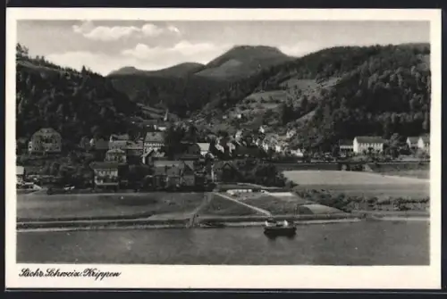 AK Krippen /Sächs. Schweiz, Ortspanorama mit Elbe