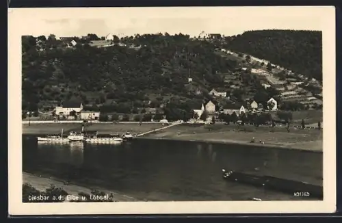 AK Diesbar a. d. Elbe, Blick von der Elbe mit Löbsal
