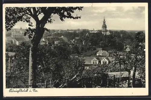 AK Königsbrück i. Sa., Panorama des Ortes