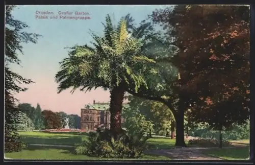 AK Dresden, Grosser Garten, Palais und Palmengruppe