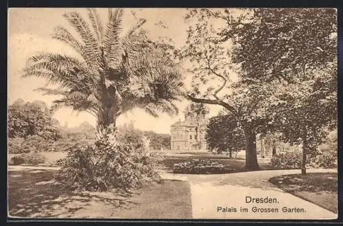 AK Dresden, Palais im Grossen Garten