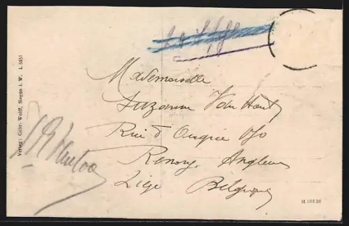 AK Siegen, Vogelschau auf den Ort und Umgebung