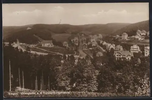 AK Siegen, Villenpartie an der Freudenbergstrasse mit Grünanlagen