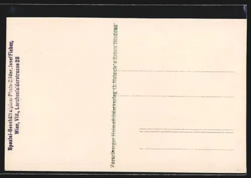 Foto-AK Bludenz, Ortsansicht von der Tschengla aus