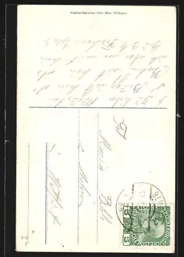 AK Bludenz, Ortsansicht mit Blick auf Scesaplana