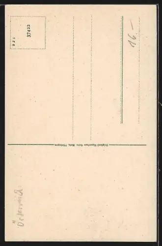 AK Bludenz, Ortsansicht vom Berghang aus mit Scesaplana
