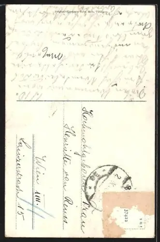 AK Bludenz, Ortsansicht mit Blick auf Scesaplana