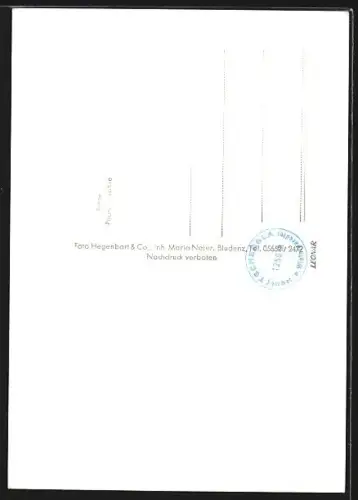 AK Tschengla, Bergstation mit Zimba