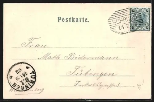 AK Schruns, Teilansicht mit Bergen