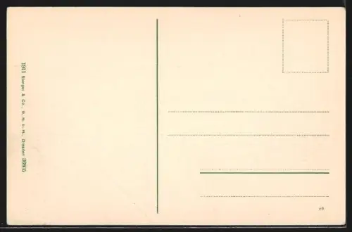 AK Bludenz, Ortsansicht mit Scesaplana