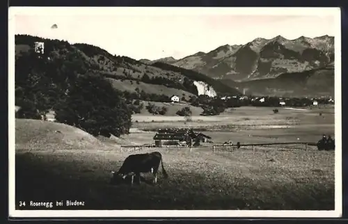 AK Rosenegg b. Bludenz, Ortspartie und Kuh auf der Weide