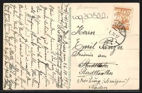 AK Rosenegg b. Bludenz, Ortspartie und Kuh auf der Weide