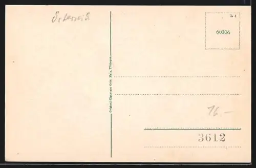 AK Bludenz, Ortsansicht vom Berghang aus gegen die Berge