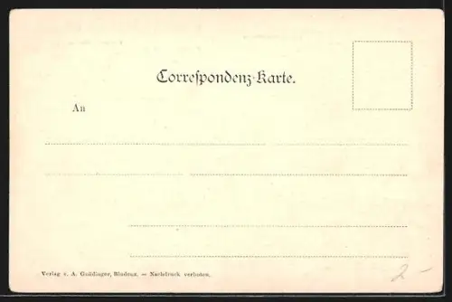 AK Bludenz /Vorarlberg, Ortsansicht aus der Vogelschau mit Brandnertal