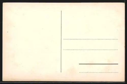 AK Bludenz, Ortsansicht mit Laurentiuskirche