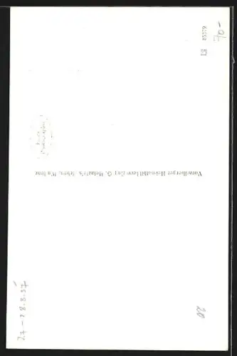 AK Bludenz, Strassenpartie mit Bergpanorama